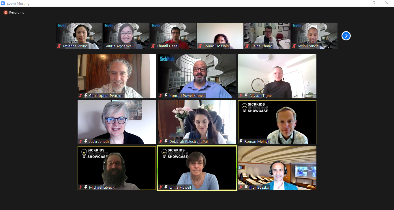 A screenshot of a Zoom call in gallery view where speakers and participants faces are visible in a row of 6 images along the top and a grid of 9 images in the centre