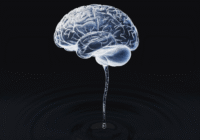 Brain with fluid brain stem - image generated using Midjourney AI
