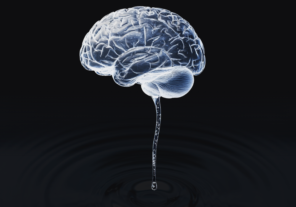 Brain with fluid brain stem - image generated using Midjourney AI